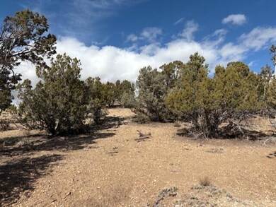 0 Parcel #01-0080-0026 unit 110250, Beaver, UT 84713 - photo 3