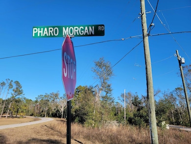 00 Pharo Morgan Rd, Perry, FL 32347 - photo 7