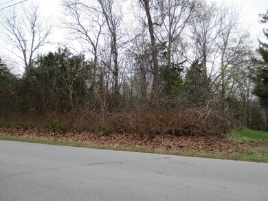 0 Skyline Dr unit 60072930, Kimberling City, MO 65686 - photo 4