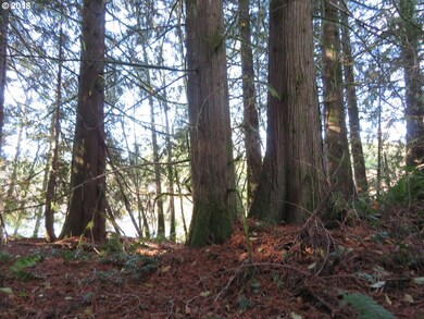 0 Wayne Rd W unit 5 18192863, Seabeck, WA 98380 - photo 7