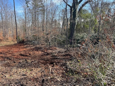 000 Hudlow Rd unit 4, Forest City, NC 28043 - photo 6