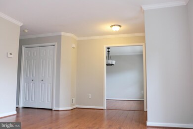 19 Deasy Dr, Newark, DE 19702 - photo 6