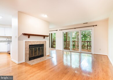 9507 Hickory Limb, Columbia, MD 21045 - photo 4