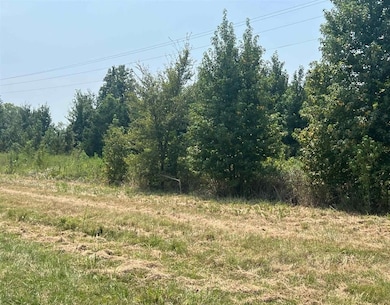 TBD Fm 1402, Mount Pleasant, TX 75455 - photo 2