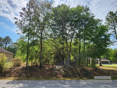 0 SW 199th Ct, Dunnellon, FL 34431 - photo 7