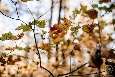 0 Greensboro Rd unit CL343963, Crawfordville, GA 30631 - photo 7