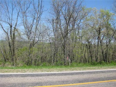 Land. Pink flag marks the east corner of the prope