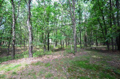 118 Deer Trail Dr, Chestnuthill Township, PA 18353 - photo 4