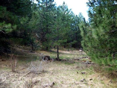 L10 B3 Carol Ct unit 10, Cascade, ID 83611 - photo 4