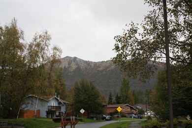 View From the Front Yard