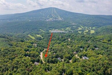 C-18 High Meadow Rd, Winhall, VT 05340 - photo 2