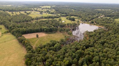 Land for Sale in Arkansas Ozarks 6