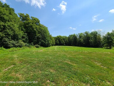 Tbd Stump Pond Rd, Livingstn Mnr, NY 12758 - photo 5