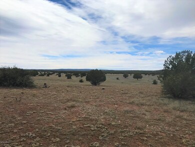 65 Poppy Rd, Ash Fork, AZ 86320 - photo 4