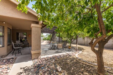 1701 N Jay St, Chandler, AZ 85225 - photo 5