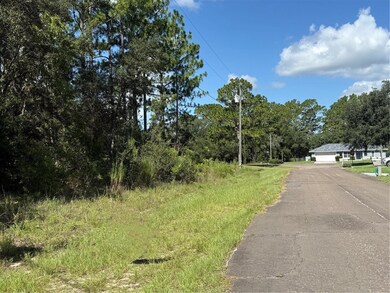 2174 W Tacoma Dr, Citrus Springs, FL 34434 - photo 4