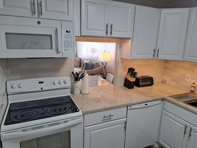 Palm Lake Condo unit 208N, Lake Worth, FL 33460 - photo 6