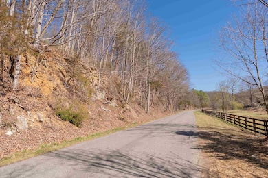 TBD Indigo Rd, Christiansburg, VA 24073 - photo 3