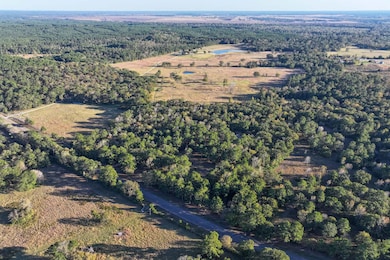 485, Trinity, TX 75862 - photo 3