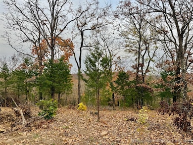 0 S 4547 Rd unit 2548088, Vian, OK 74962 - photo 4