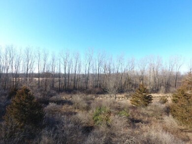 TBD E Main St, Maple Rapids, MI 48853 - photo 6