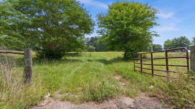20046 Us Hwy 69s, Alto, TX 75925 - photo 6