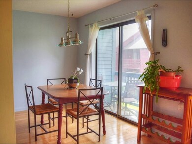 144 N Twin Oaks Terrace, South Burlington, VT 05403 - photo 6