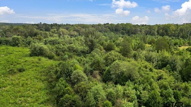 TBD S Mimosa Rd, Gilmer, TX 75644 - photo 7