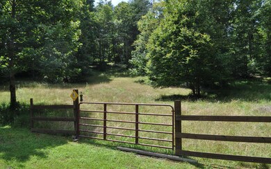 LT 18 Richlen Ridge Rd, Morganton, GA 30560 - photo 4