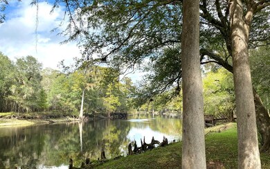 598 SW Manatee Terrace, Fort White, FL 32038 - photo 4