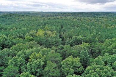 0 Oral Oaks Rd unit 20, South Hill, VA 23970 - photo 5