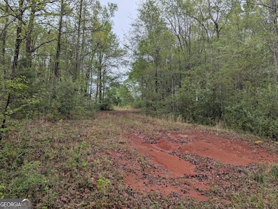 0 Fischer Spur Rd unit 10495301, Newnan, GA 30265 - photo 2