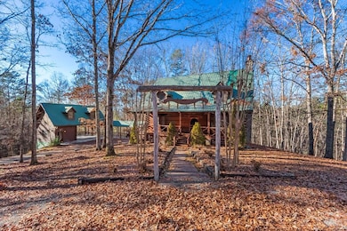 10 Proghorn Ln, Murphy, NC 28906 - photo 5