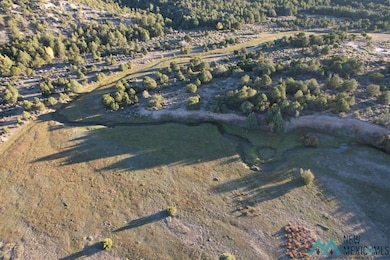 0 State Road 341 unit 20256526, Petaca, NM 87554 - photo 3