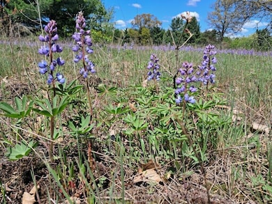 10.01AC Barberry Ave, Brooks Township, MI 49337 - photo 3