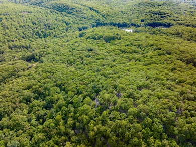 Drone4
