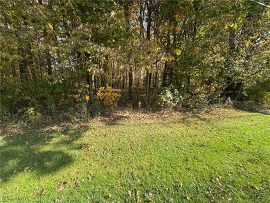 View of tree filled area