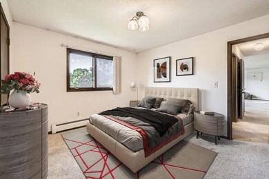 5931 Henry St, Maple Plain, MN 55359 - photo 5