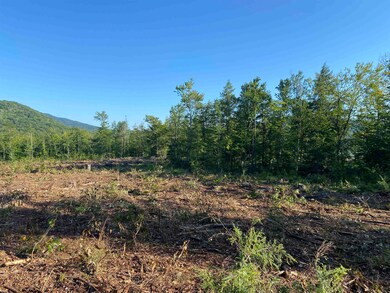 Lot 63-11-1 Ossipee Mountain Rd unit 63/11-1, Ossipee, NH 03864 - photo 6
