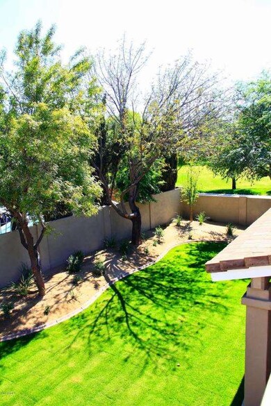 Backyard (2)