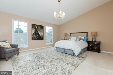 7001 Green Spring Ln, Alexandria, VA 22306 - photo 7