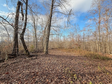 00 Hellsneck Rd, Waverly, TN 37185 - photo 3