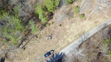 0 Chapman Point unit S1650981, Hammond, NY 13642 - photo 4