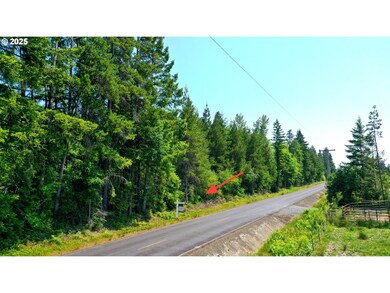 0 Boone Rd unit 361490112, Toledo, WA 98591 - photo 5