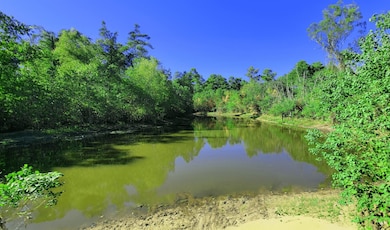 2831 Goodson Loop, Pinehurst, TX 77362 - photo 6