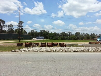 000 Honea Egypt Rd, Magnolia, TX 77354 - photo 6