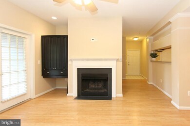 46612 Drysdale Terrace unit 101, Sterling, VA 20165 - photo 5