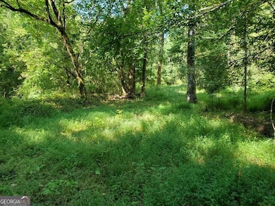 0 Goolsby Rd unit 10614178, Monticello, GA 31064 - photo 2