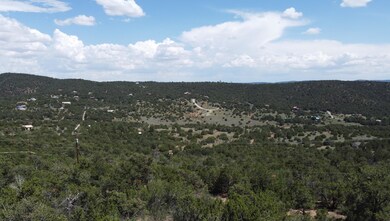 24 Mulberry Loop, Cedar Crest, NM 87008 - photo 6