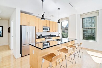 Lincoln Plaza II unit L412, Boston, MA 02111 - photo 6